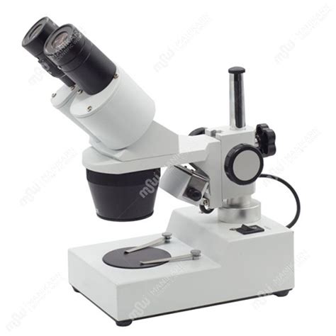 Stereo Microscope 的图像结果