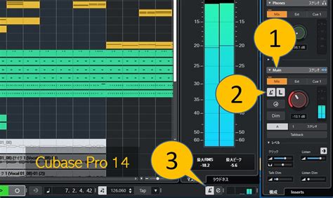 Cubase 11 Control Room 的图像结果