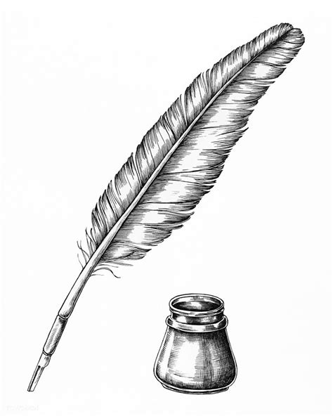simple quill drawing
