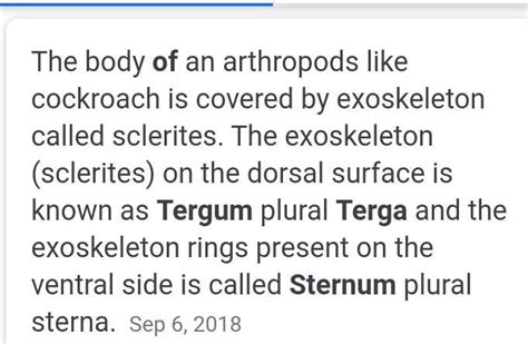 4 difference between tergum and sternum? - Brainly.in