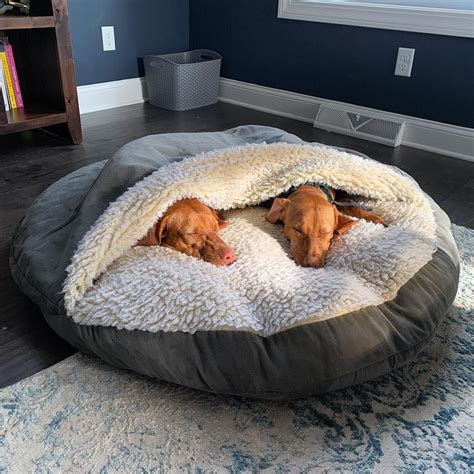 Dog beds – Artofit