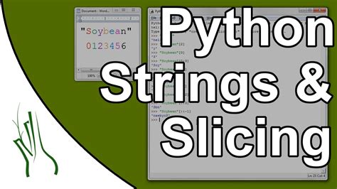 How to Slice a String Python 的图像结果