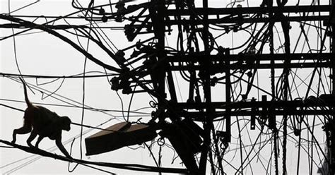 घरों को रोशन करने वाली बिजली छीन रही है रोजाना करीब 30 भारतीयों की जान ...