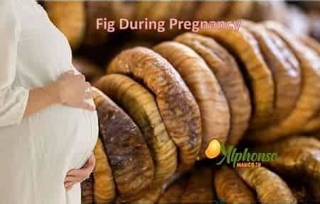 Premium Dry Fruits – Tagged "fig fruit during pregnancy" – AlphonsoMango.in
