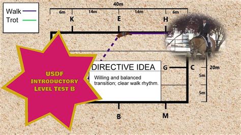 Image result for USDF Intro Test A