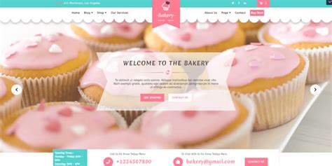 15 Best Aesthetic WordPress Themes to Create a Perfect Website