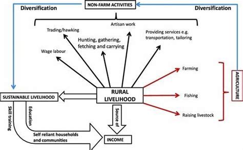Make a project on the major livelihoods of people living in urban areas ...