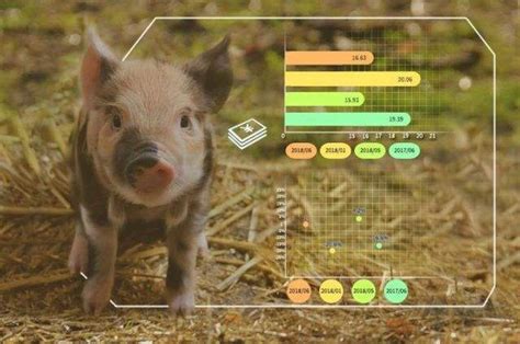 智能养猪市场火热，盘点现有的智能养猪技术及应用场景！ - 知乎