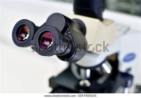 Image result for Compound Microscope Magnification Levels