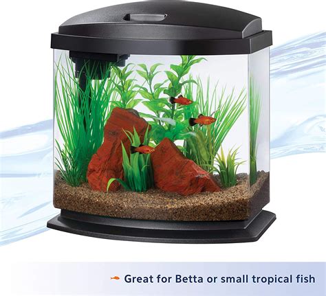 5 Gallon Fish Tanks
