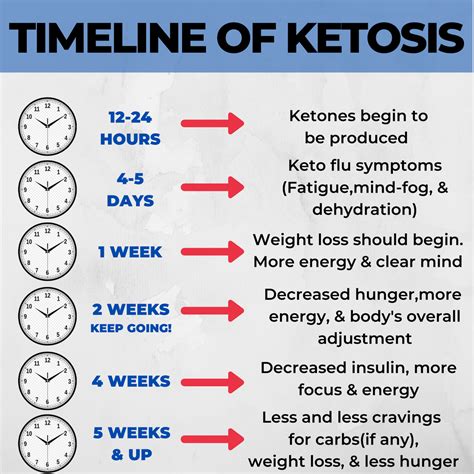 Timeline Of Ketosis : r/LowCarbKeto_Recipes