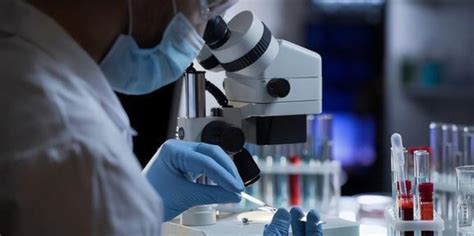 体外诊断 的图像结果