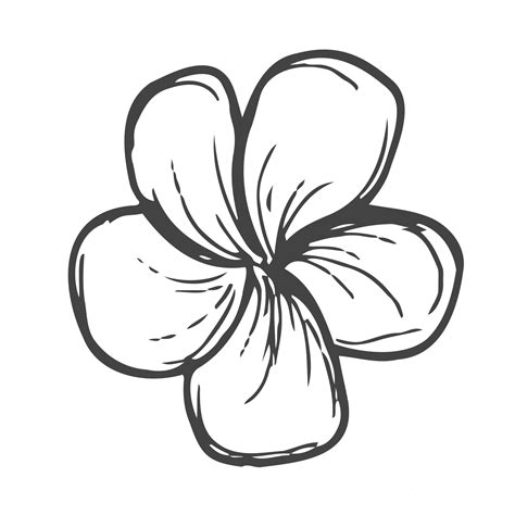 Simple Flower Clip Art Outline