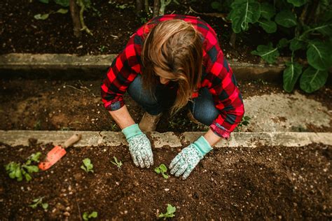 15 Vegetables That Thrive in Acidic Soil - Craft Your Happy Place