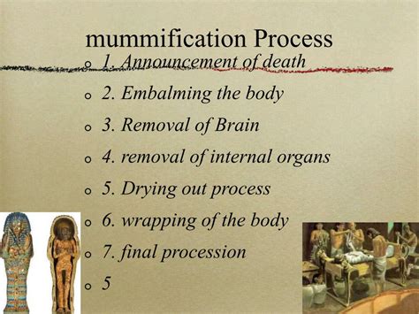 Image result for First Mummification