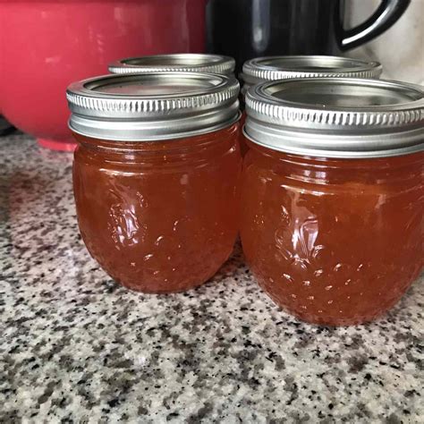Recipe Apple Jelly Without Pectin | Deporecipe.co