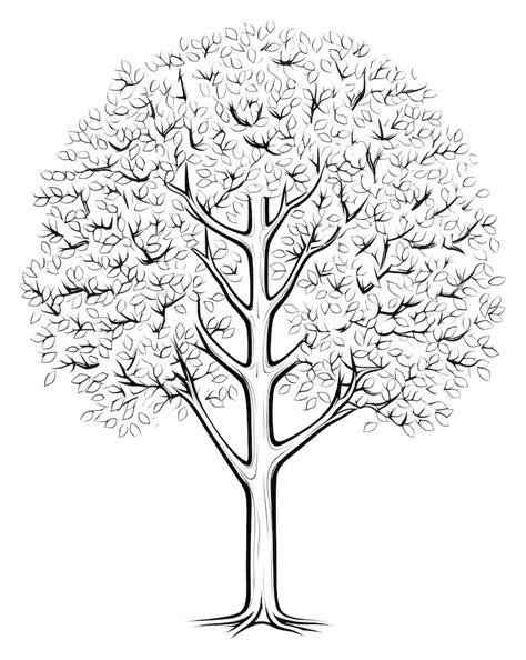 Tree drawing 사진 - 무료 고품질 사진 다운로드 | Freepik