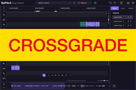 Synchro Arts RePitch 2 Standard Crossgrade – BAJAAO.COM