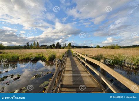 Hovander Homestead Park in Ferndale, Washington Stock Image - Image of ...