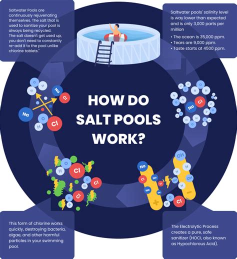 Image result for Adding Salt to Pool