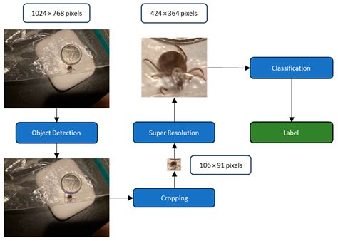 Combining Object Detection, Super-Resolution GANs and Transformers to ...