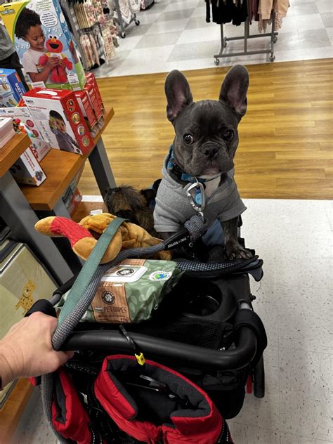 T.J. Maxx Wilmington