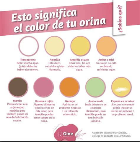 Tipos De Flujo Vaginal