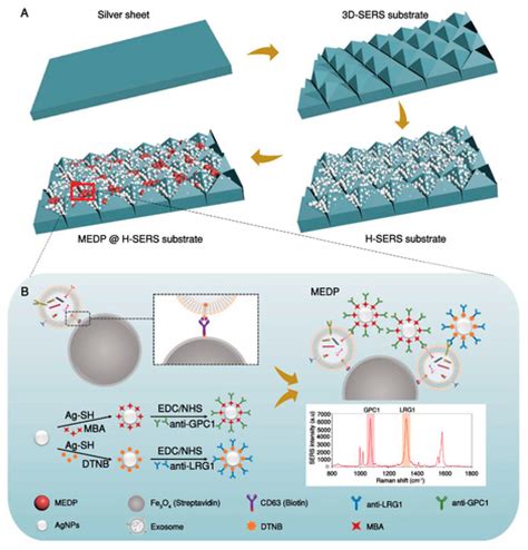Cutting-Edge Sensor Technologies for Exosome Detection: Reviewing Role ...
