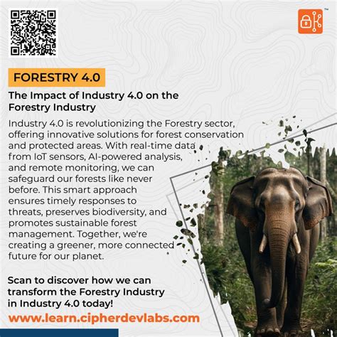 Image result for Forest and Trees Cyber Security Software