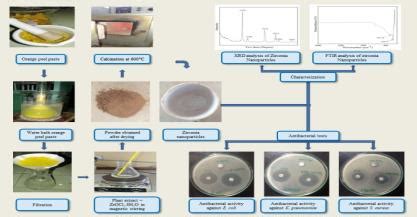 Spectrum of Emerging Sciences-Green synthesis and characterization of ...