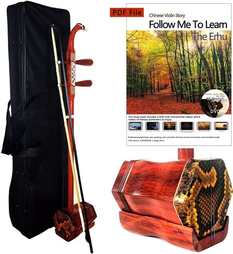 Image result for 2 Stringed Instrument