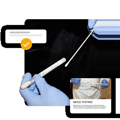 Image result for Mold Testing MA