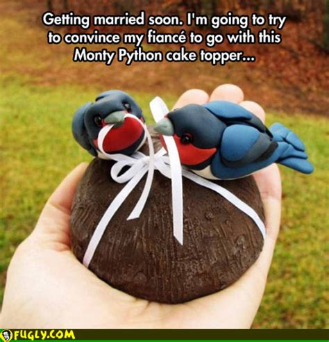 Happy Birthday From Monty Python 的图像结果