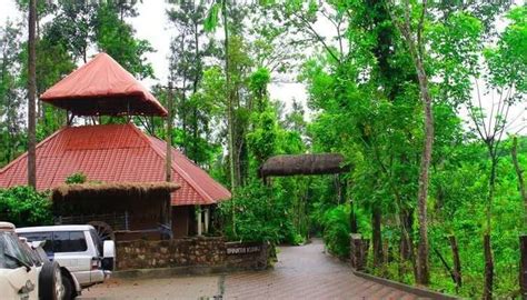 Top 15 Homestays In Karnataka That Offer Authentic Experiences!