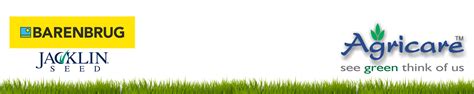 Amazon.in: Agricare-see Green think of Us: Barenbrug