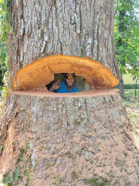 Image result for Perry Auto Auction Com