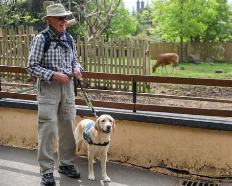 Are Zoos Dog Friendly? A Guide For Pet Parents In 2026