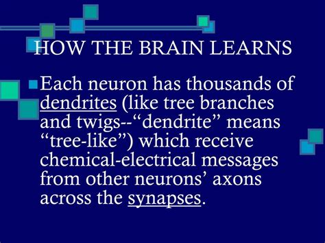 Image result for Brain Learning Process