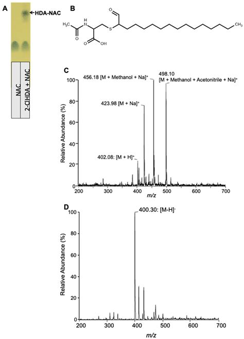 Characterization of N-Acetyl Cysteine Adducts with Exogenous and ...