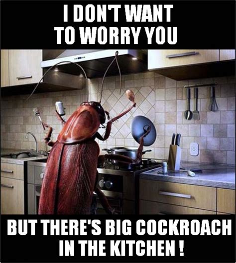 Cockroach Meme Invasion 的图像结果
