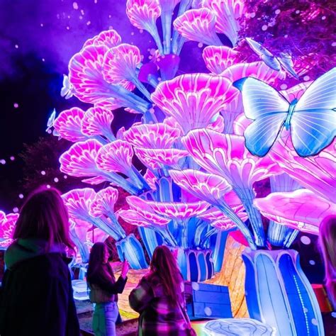 Complete Family Guide to 2025 Waukesha County Fair — North Shore Family ...