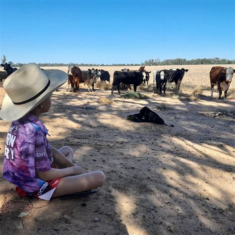 GILGOOMA (Coonamble) - Campground Reviews, Photos, Rate Comparison ...