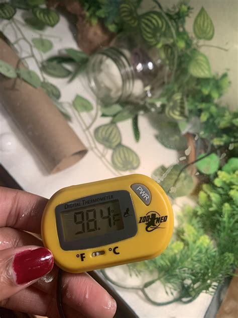 Is this too hot for a basking spot? His UTH is at 88-90 and the lamp ...