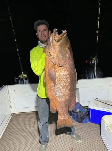 Top 9 Different Types of Snapper in Florida | FishAnywhere