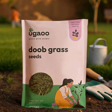 Doob Grass Seeds (Carpet Lawn) – Ugaoo
