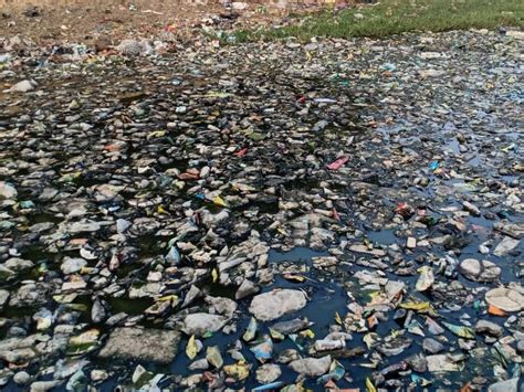 Dirt kingdom spreads in river passing through Lathi's Jarkhiya village ...