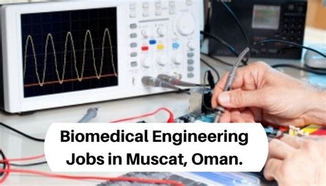 Biomedical Engineering Jobs 的图像结果