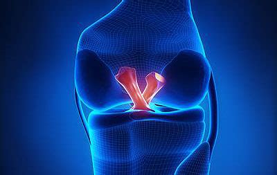 Dr. Santosh Kumar, Best Orthopedic Surgeon in Kolkata, India | Robotic ...