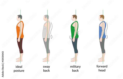 Different Types of Posture 的图像结果