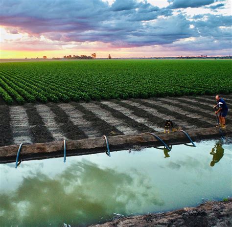 Environmental Quality 的图像结果